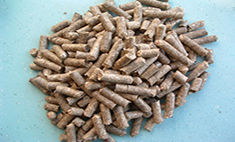 高温季来临，饲料企业发布夏季应激管理建议